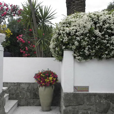 Ingrid Affittacamere Gassin